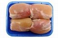 Frozen Whole Chicken and Parts direct U.S supplier 4