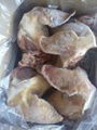 FROZEN PORK AND WHOLE BODY DIRECT  SUPPLIER 4