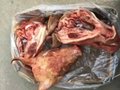 FROZEN PORK AND WHOLE BODY DIRECT  SUPPLIER 5