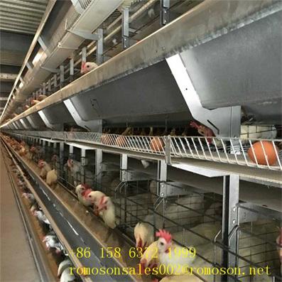 chicken cages for cheap rate_shandong tobetter the price is low 3