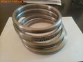 Titanium Gasket 2