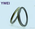 0734 309 401rwdr-kassette oil seal