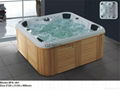 SPA Bathtub 3