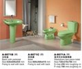WASHDOWN TWO-PIECE TOILET(COLORFUL) 5