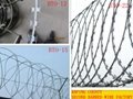 razor barbed wire 1