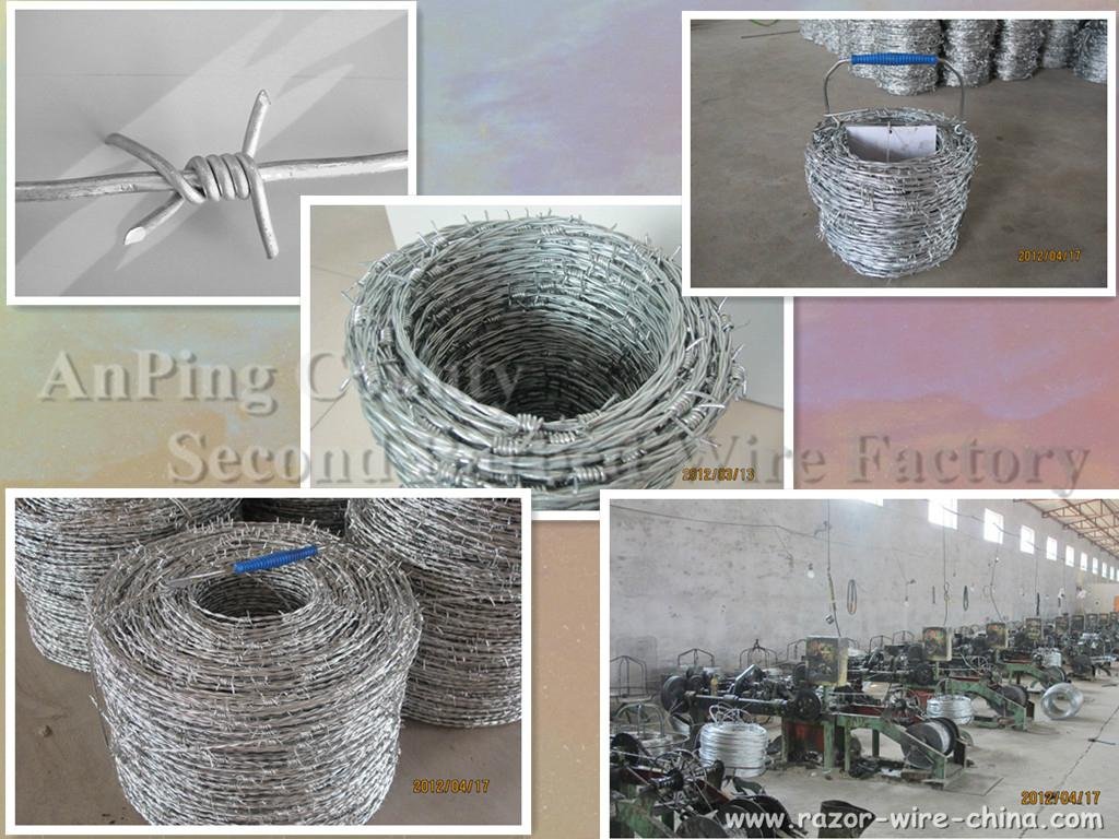 normal hot-dipped galvanizing barbed wire