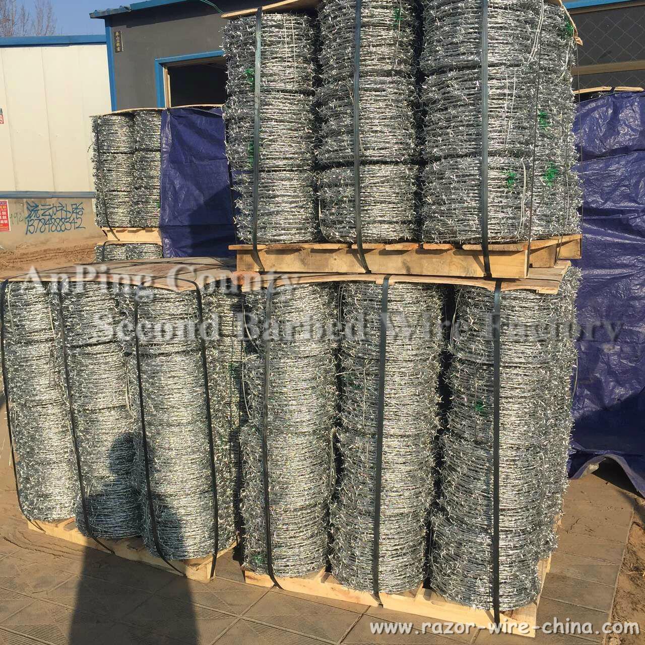 normal hot-dipped galvanizing barbed wire 4