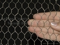 Hexagonal wire mesh 1