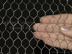 Hexagonal wire mesh