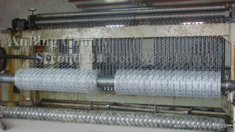 Hexagonal wire mesh 4