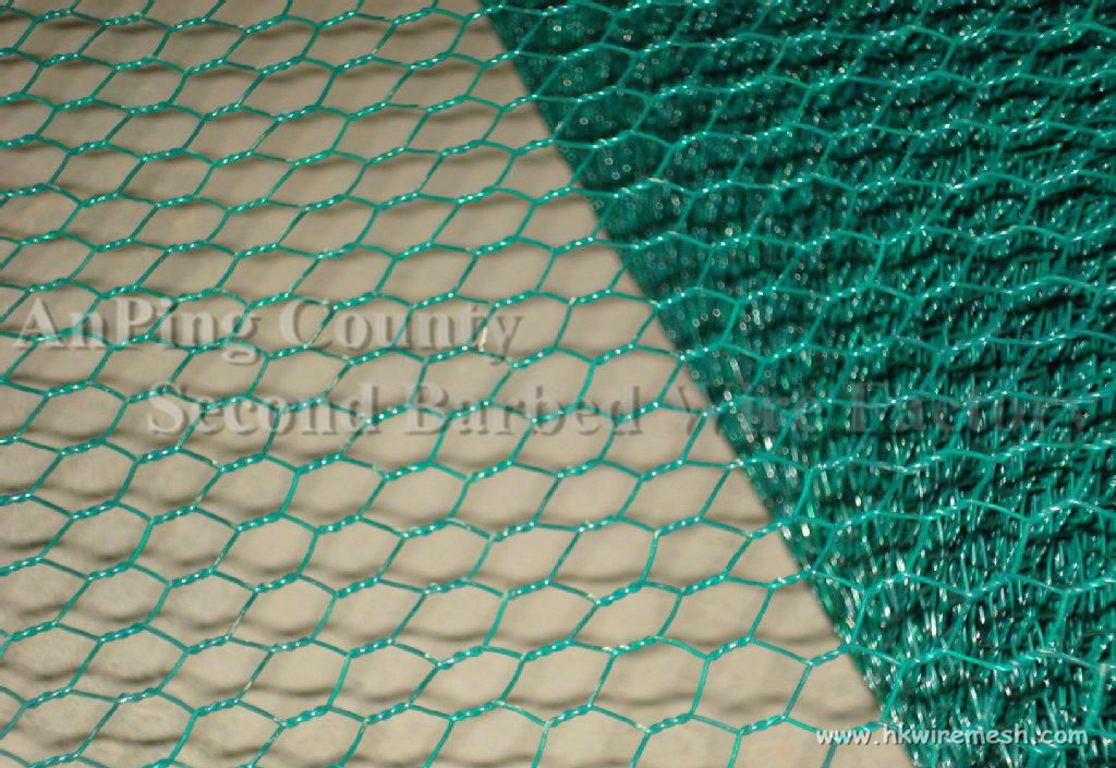 Hexagonal wire mesh 2