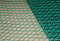 Hexagonal wire mesh 2