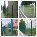 PVC Coated Double Wire Fence 5