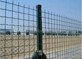 Holland Wire Mesh (Dutch Wave Wire Mesh)