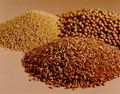 Flax Seed Extract 4