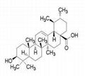 Lotus Leaf Extract