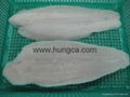 Pangasius (Basa) Fillet