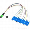  MTP/APC Male to 12SC/UPC Singlemode OS2  Fiber Optic Harness