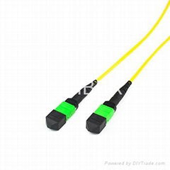 24Fiber Optical Trunk Cable MTP/APC Female 