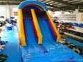 Giant Water Slide 2