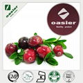 cranberry extract 1