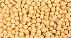 Yellow Peas from Ukraine