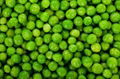 Green Peas from Ukraine 1