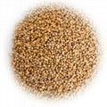 Top Sale! Yellow Millet