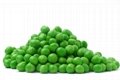 Premium Green Peas 1