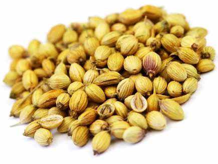 High Quality Coriander Seeds