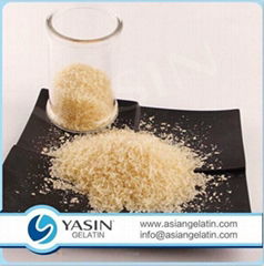 Pharmaceutical Grade Gelatin Bovine Source