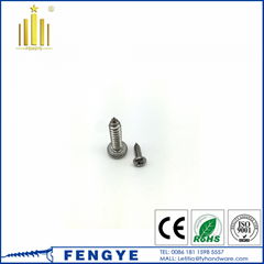 M2 M3 Phillips Pan Head Self-tapping Screw