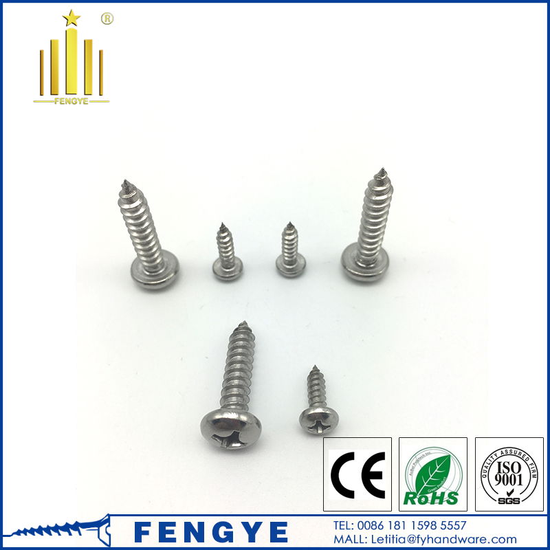 M2 M3 Phillips Pan Head Self-tapping Screw 2