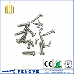 M17 Phillips Head Pan Self-tapping Screw