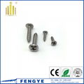 Din7981 Cross Reccessed Pan Head Self Tapping Screw 1