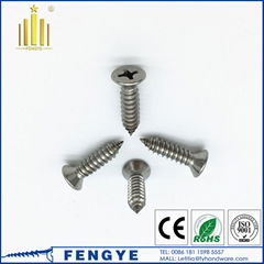 M8 Cross Recessed Countersunk Head Self Tapping Screw