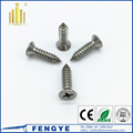 M8 Cross Recessed Countersunk Head Self Tapping Screw 5