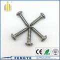 Stainless Steel Cross Reccessed Pan Head Self Tapping Screw 1