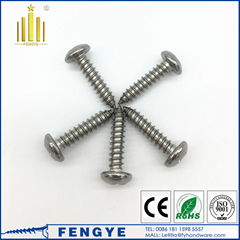 Stainless Steel Cross Reccessed Pan Head Self Tapping Screw