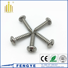 Stainless Steel Phillips Head Self Tapping Screw