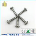 Stainless Steel Phillips Head Self Tapping Screw 2