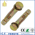 OEM Manufacture Carbon Steel Zinc Plated Masonry Anchor Bolt 4