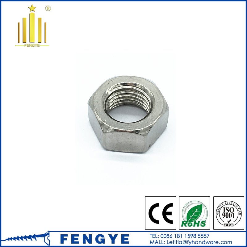 Stainless Steel Hex Nut M32 with High Quality
