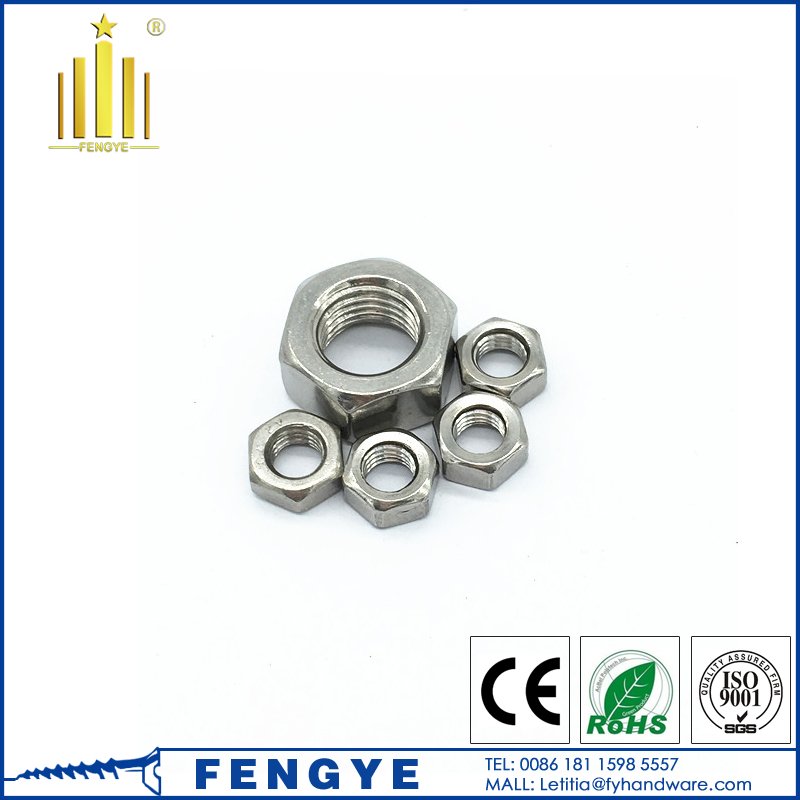 Stainless Steel Hex Nut M32 with High Quality 5