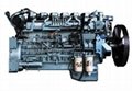 Sinitruck HOWO Wd615 Engine Original