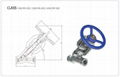 Bonnetless Globe Valve 2