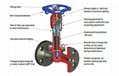 Forged Steel Bellows Seal Globe Valve 1