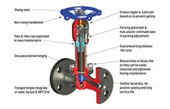 Forged Steel Bellows Seal Globe Valve