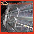 Hot Galvanized Chicken Poultry Cage Chicken Layer Cage  4