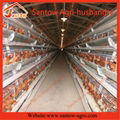 Hot Galvanized Chicken Poultry Cage Chicken Layer Cage  5